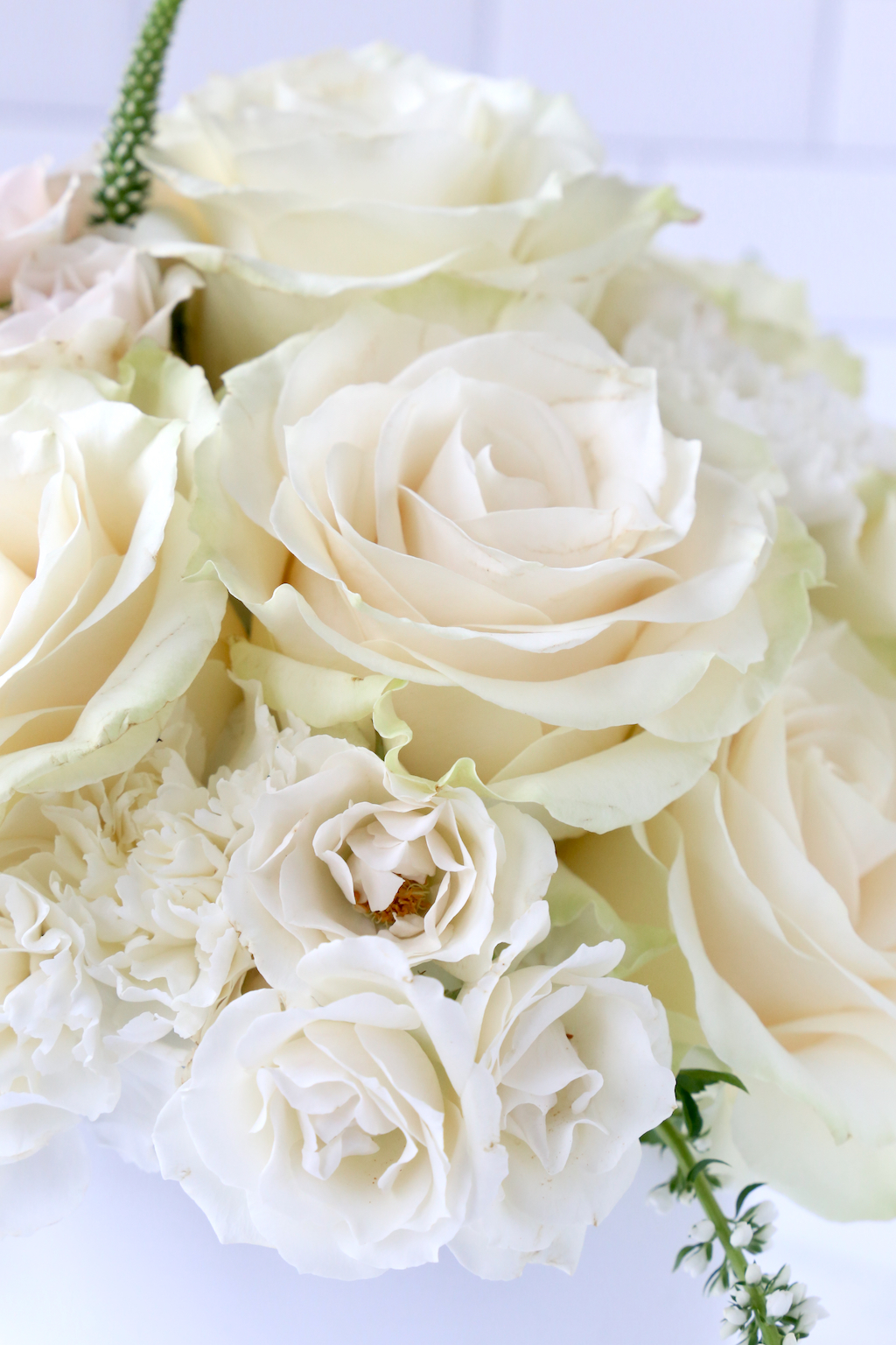 white roses in sympathy arrangement
