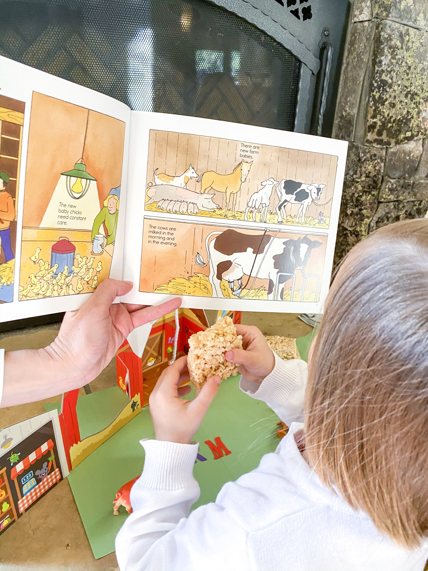 preschool farm picture book