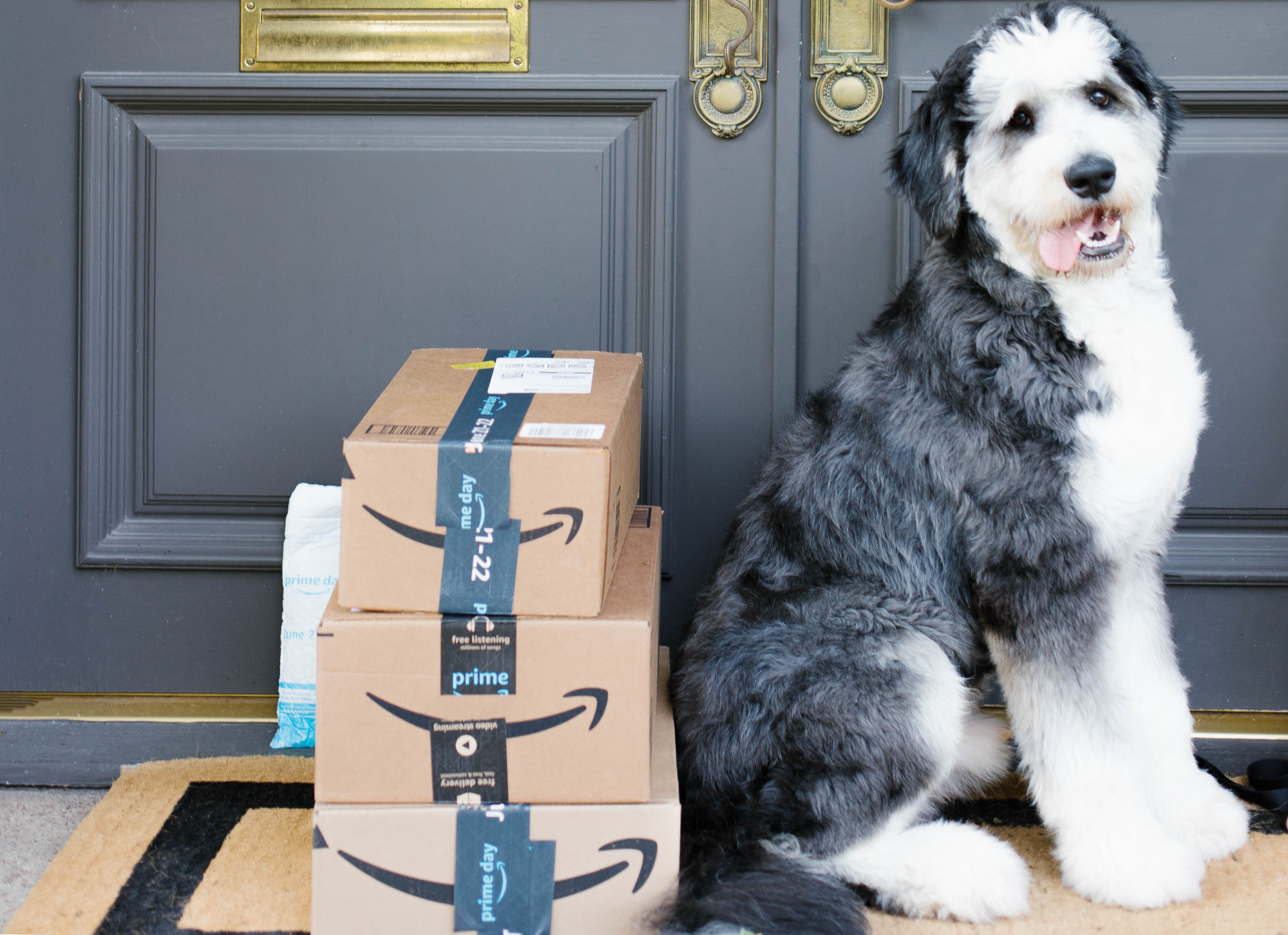 Best Deals for Amazon Prime Day