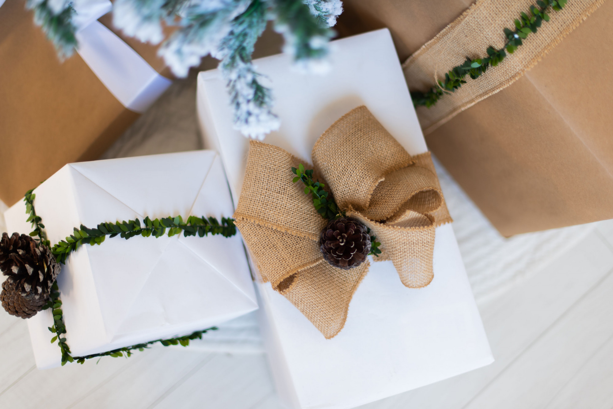 30 Thoughtful Gift Ideas for Elderly Loved Ones | Do Say Give