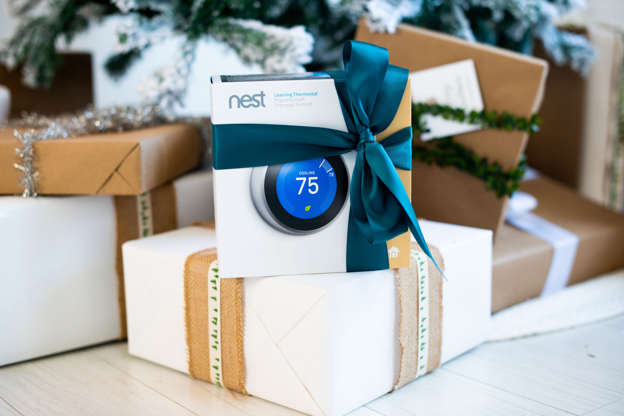 nest thermostat