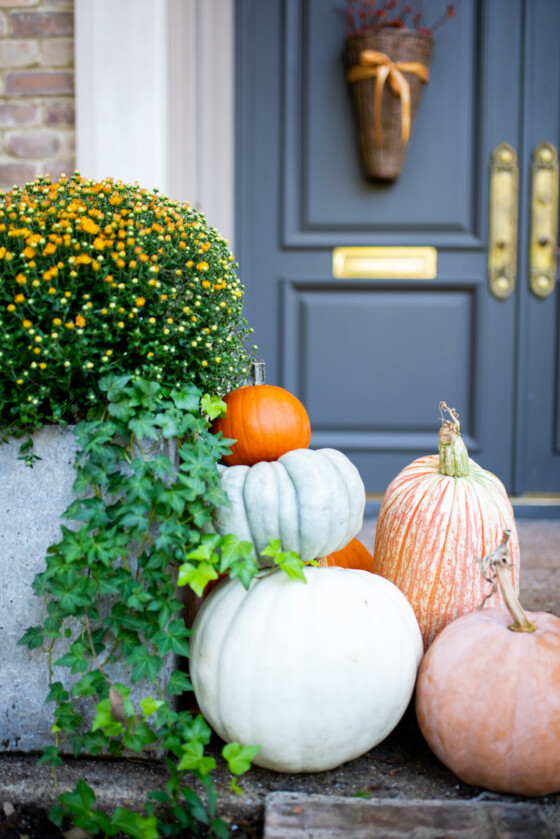 10 Things to Make Your Fall Feel Even Cozier